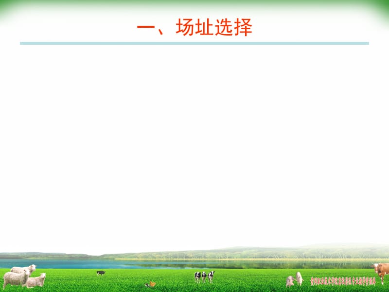 蛋鸡饲养管理技术讲座.ppt_第3页