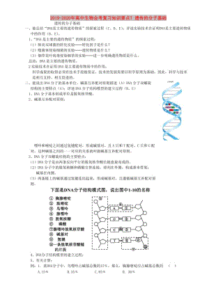 2019-2020年高中生物會考復(fù)習(xí)知識要點7 遺傳的分子基礎(chǔ).doc