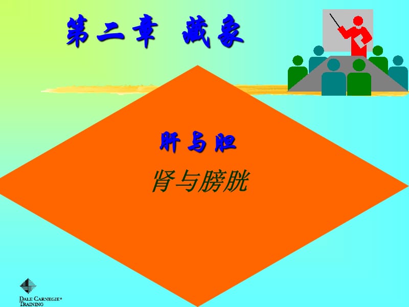 藏象肝胆肾膀胱ppt课件.ppt_第1页