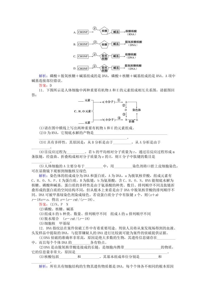 2019年高中生物 第二章 组成细胞的分子 2.3 遗传信息的携带者——核酸分层落实训练 新人教版必修1.doc_第3页