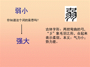 2019四年級語文下冊 14《我不是最弱小的》課件 蘇教版.ppt