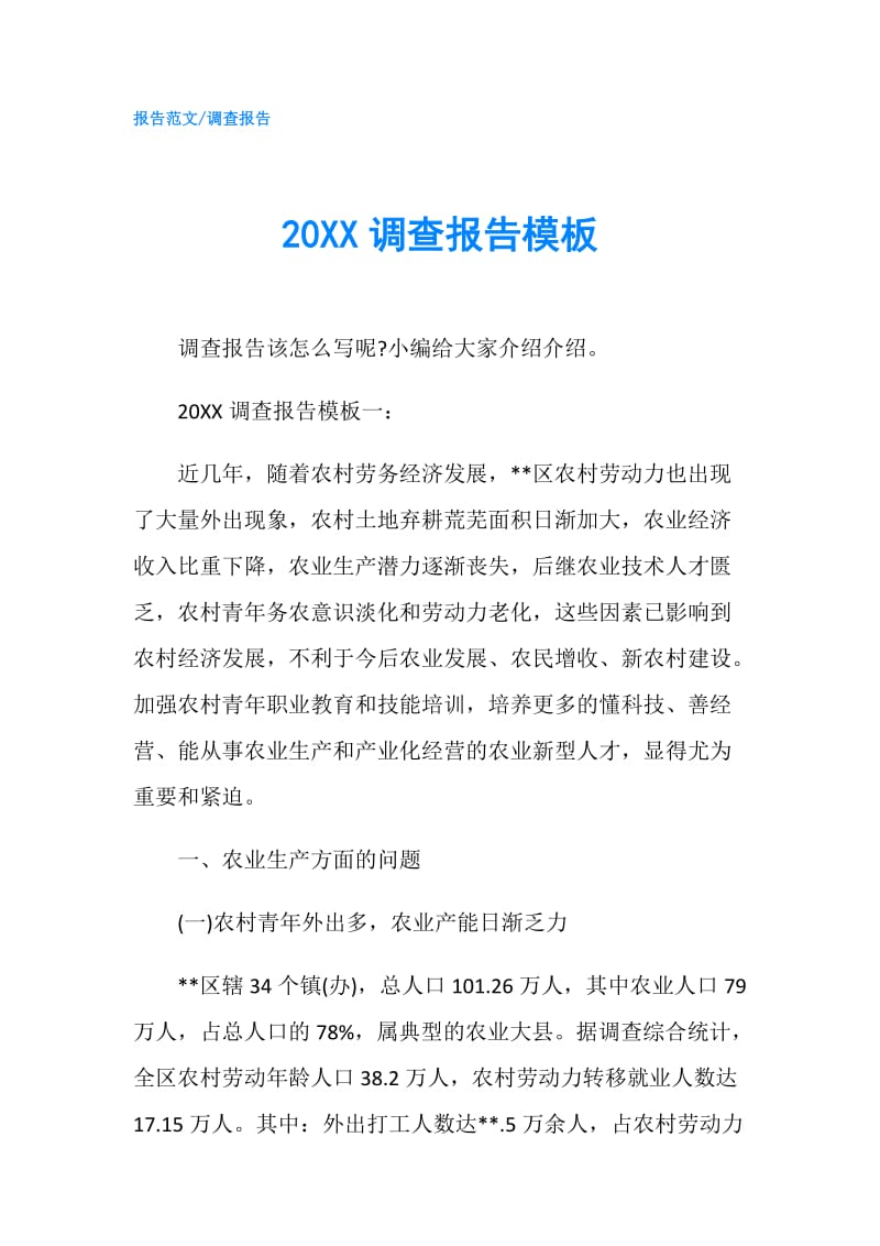 20XX调查报告模板.doc_第1页