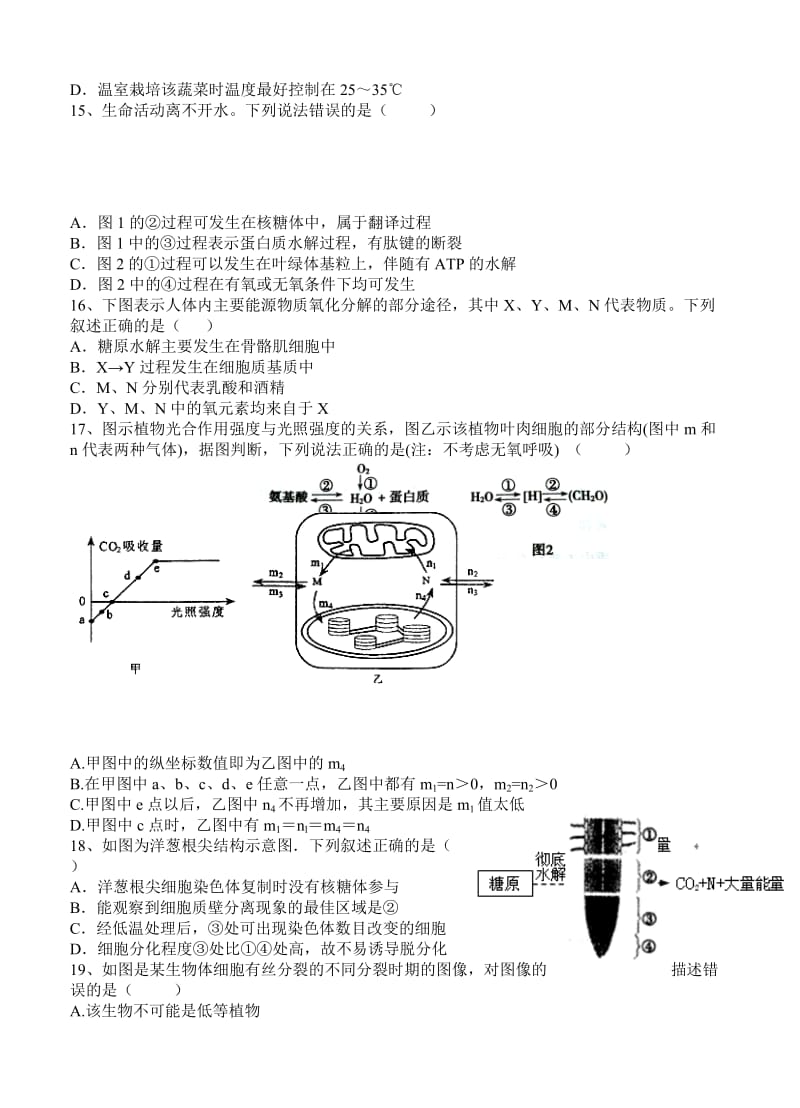 2019-2020年高三11月半月考试 生物.doc_第3页