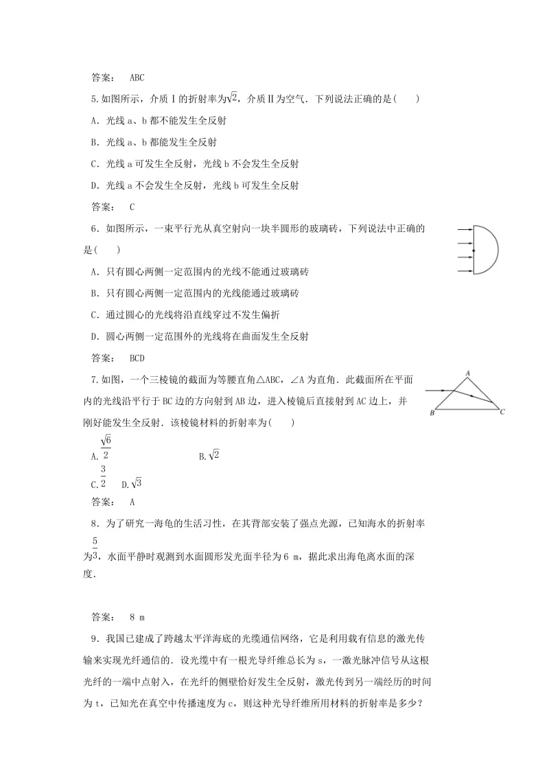 2019-2020年高中物理第十三章光第2节全反射作业新人教版.doc_第2页