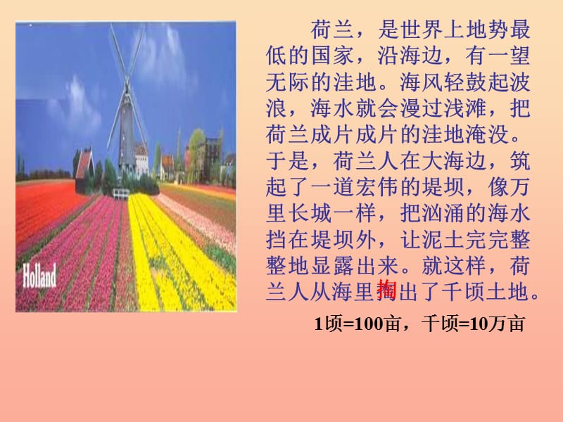 2019春五年级语文下册 8《荷兰的花》课件3 沪教版.ppt_第1页