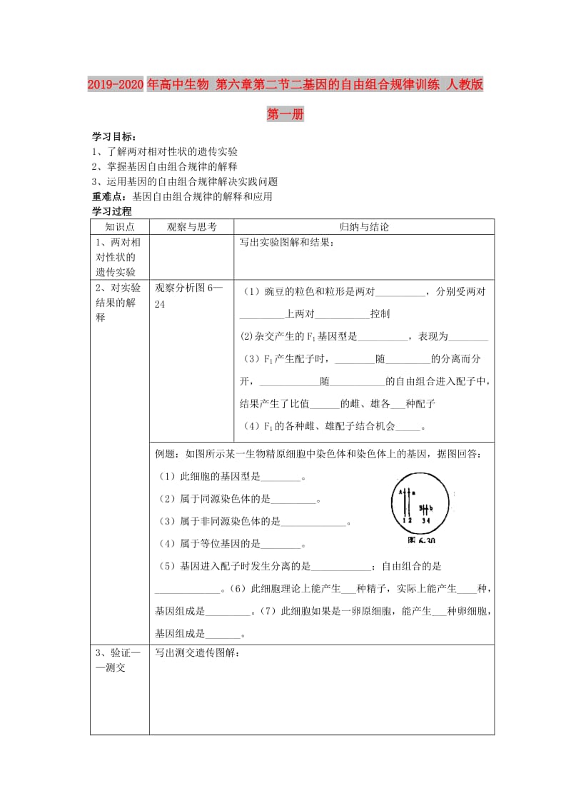 2019-2020年高中生物 第六章第二节二基因的自由组合规律训练 人教版第一册.doc_第1页