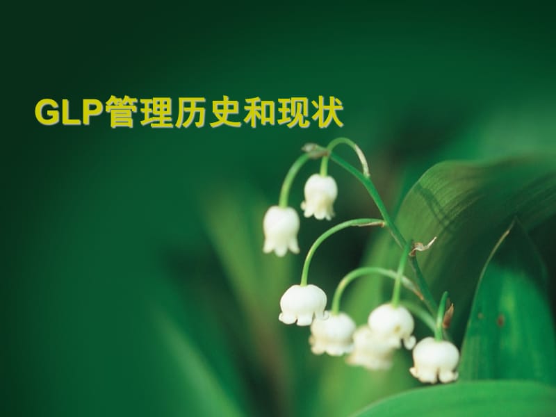 药物GLP管理历史和现状.ppt_第1页