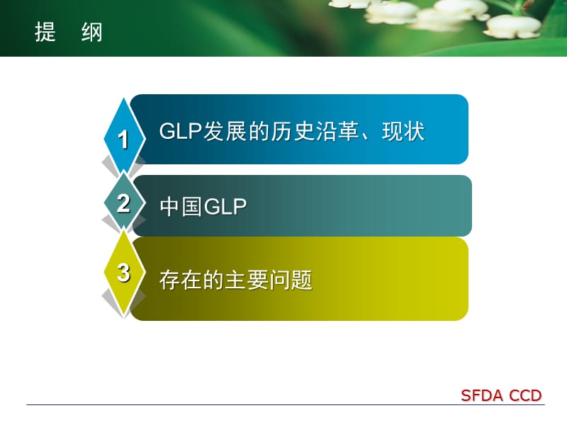 药物GLP管理历史和现状.ppt_第2页