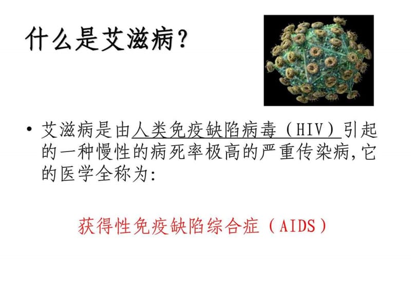 艾滋病基础知识讲座.ppt_第2页