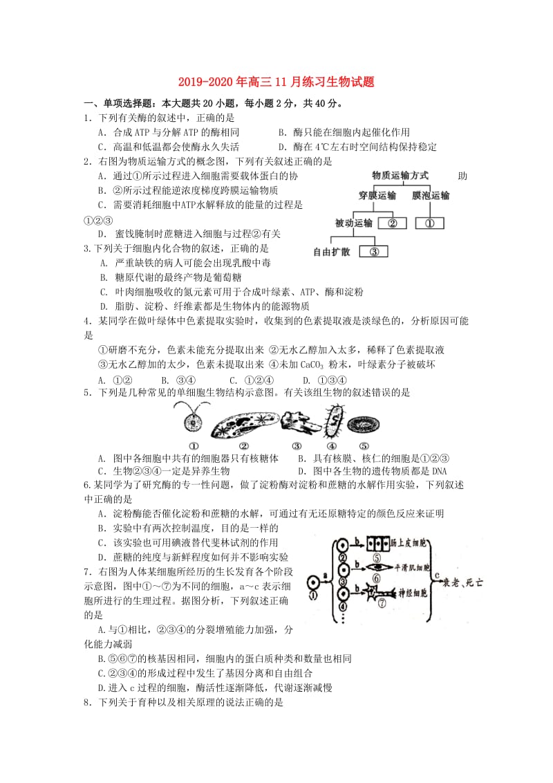 2019-2020年高三11月练习生物试题.doc_第1页