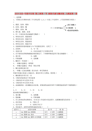 2019-2020年高中生物 第三章第一節(jié) 新陳代謝與酶訓(xùn)練 人教版第一冊.doc