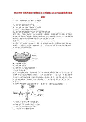 2019-2020年高考生物一輪復(fù)習(xí) 第3單元第2講 ATP的主要來(lái)源 細(xì)胞呼吸.doc