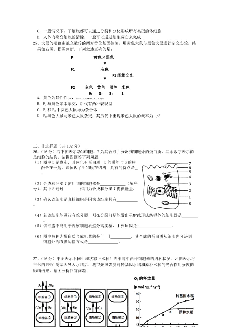 2019-2020年高三理综（生物部分）上学期第二次统一考试试题新人教版.doc_第2页