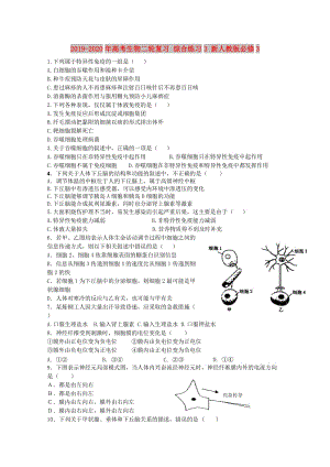 2019-2020年高考生物二輪復(fù)習(xí) 綜合練習(xí)3 新人教版必修3.doc