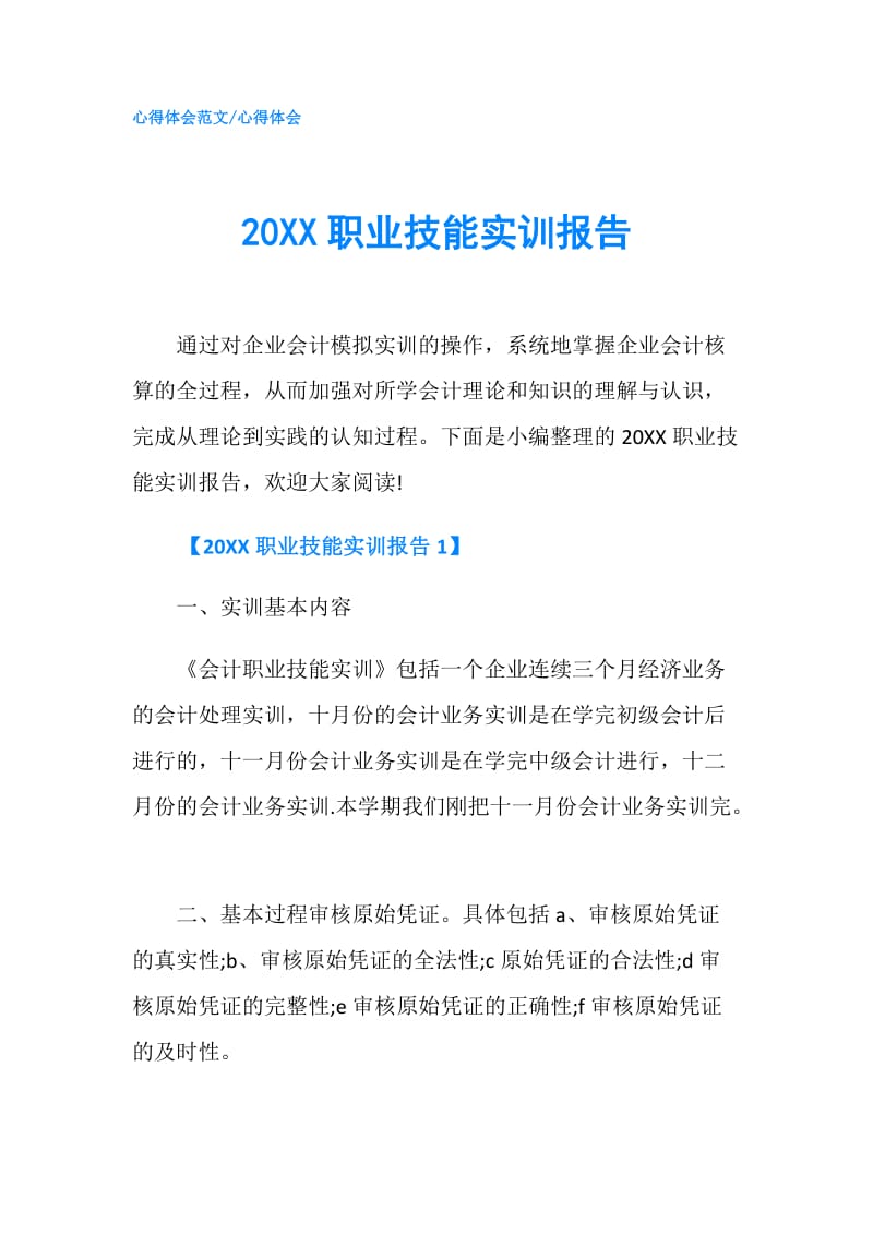 20XX职业技能实训报告.doc_第1页