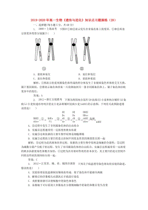 2019-2020年高一生物《遗传与进化》知识点习题演练（28）.doc