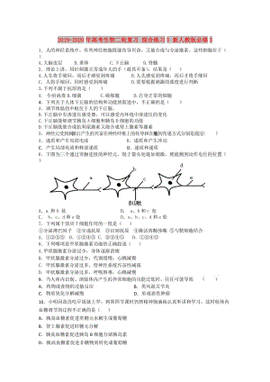 2019-2020年高考生物二輪復(fù)習(xí) 綜合練習(xí)5 新人教版必修3.doc