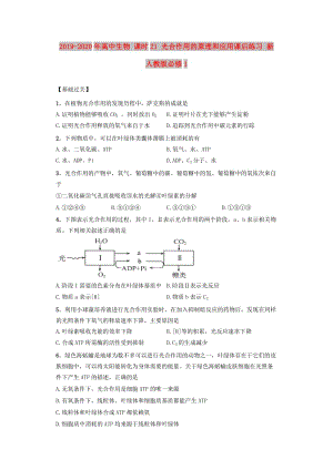 2019-2020年高中生物 課時(shí)21 光合作用的原理和應(yīng)用課后練習(xí) 新人教版必修1.doc