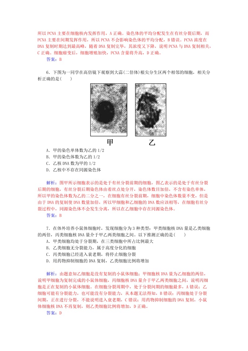 2019-2020年高考生物一轮复习 细胞的增殖课时作业13（含解析）.doc_第2页