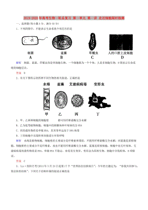 2019-2020年高考生物一輪總復(fù)習(xí) 第一單元 第一講 走近細(xì)胞限時(shí)檢測(cè).doc