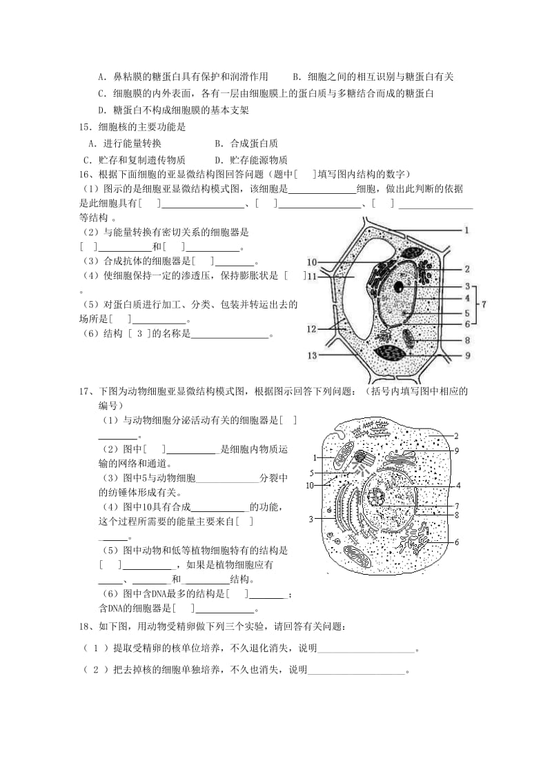 2019-2020年高考生物二轮复习 综合练习4 新人教版必修1.doc_第2页