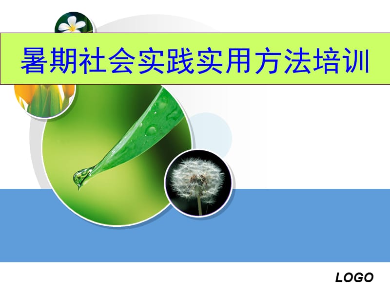 暑期社会实践实用方法培训.ppt_第2页