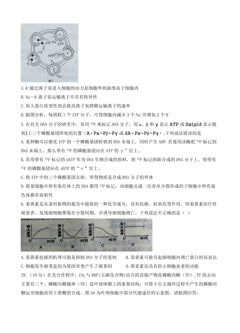 2019-2020年高三上学期适应性月考（一）理综生物.doc_第2页