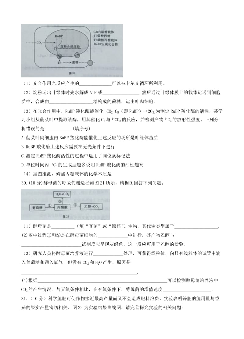 2019-2020年高三上学期适应性月考（一）理综生物.doc_第3页