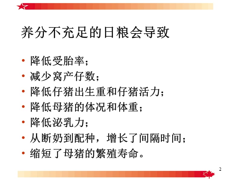 饲养管理-后备母猪PPT课件.ppt_第2页