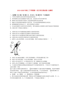 2019-2020年高二下學(xué)期第一次月考生物試卷 含解析.doc