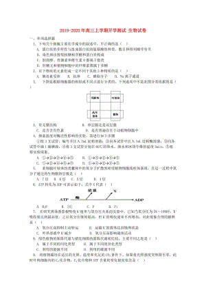 2019-2020年高三上學(xué)期開學(xué)測(cè)試 生物試卷.doc