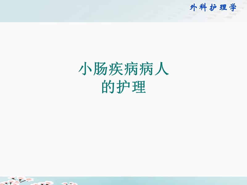 小肠疾病病人的护理PPT课件.ppt_第1页