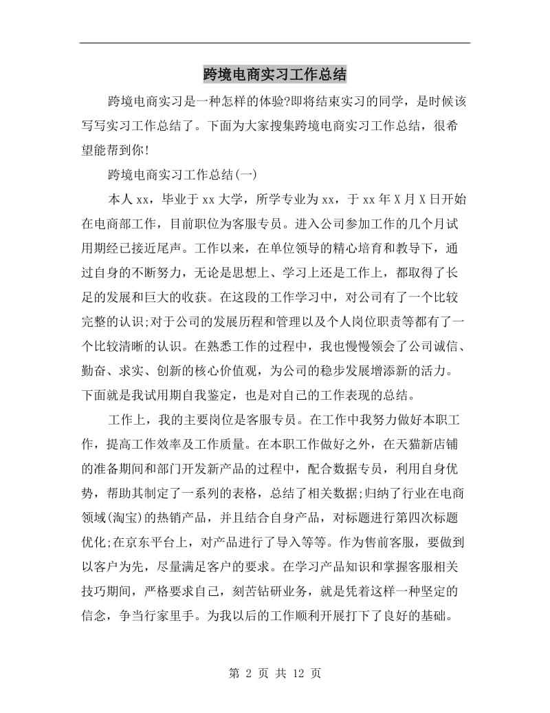 跨境电商实习工作总结.doc_第2页