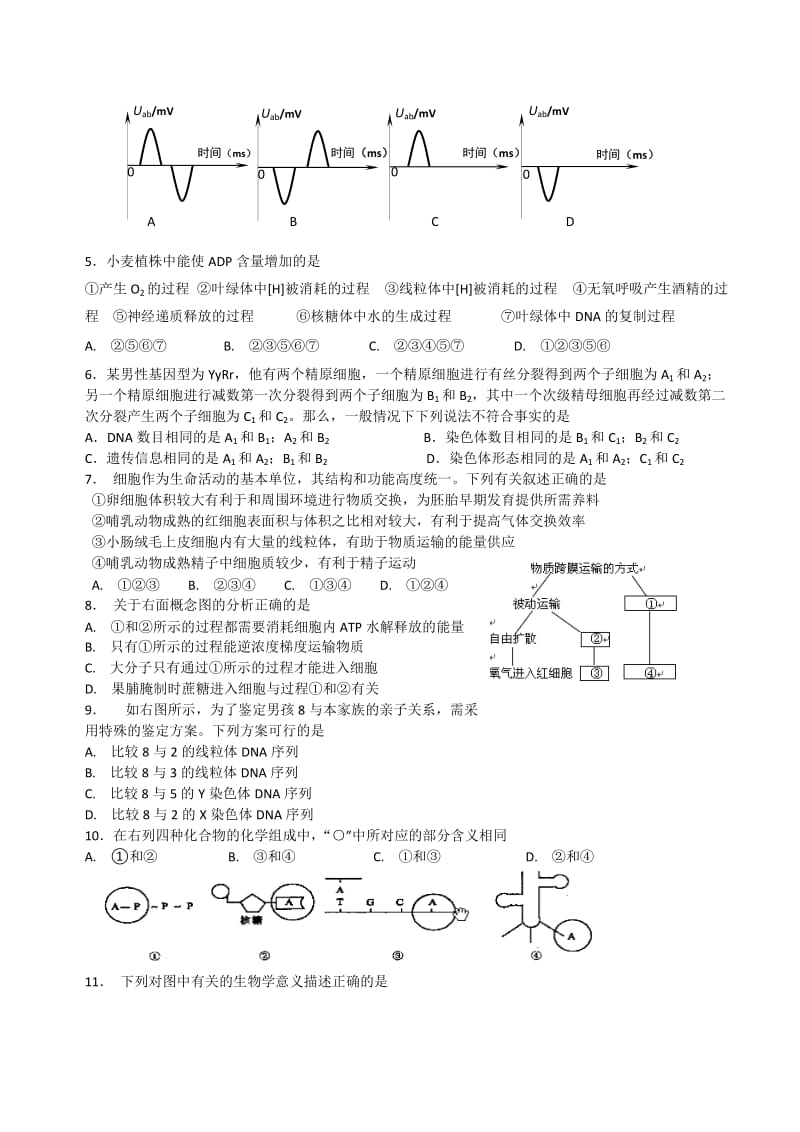 2019-2020年高三2月校际联考生物试题.doc_第2页