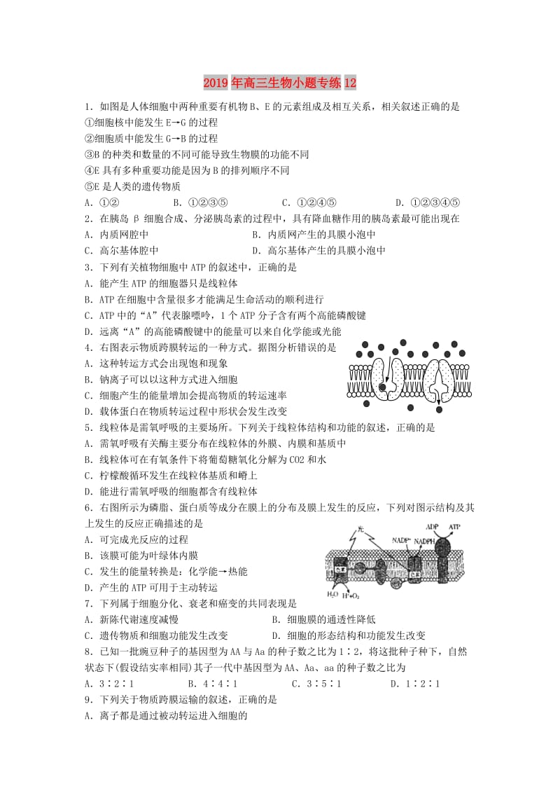 2019年高三生物小题专练12.doc_第1页