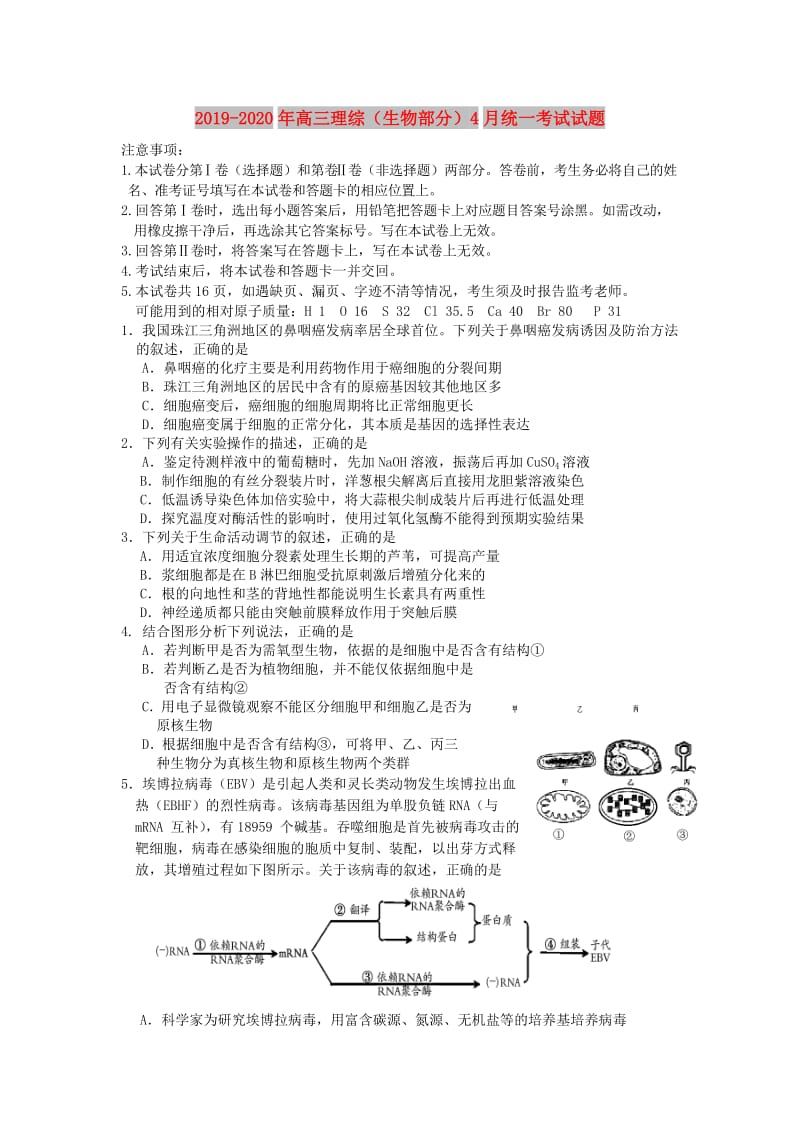 2019-2020年高三理综（生物部分）4月统一考试试题.doc_第1页