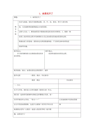 四年級科學(xué)下冊 2.1《油菜花開了》教案 教科版.doc