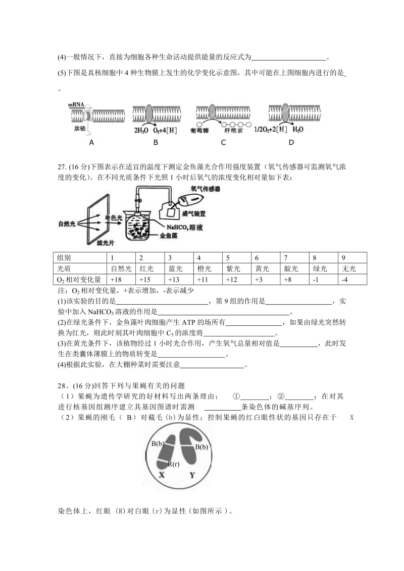 2019-2020年高三第二次调研考试 理综 含答案.doc_第3页