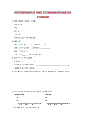 2019-2020年高中生物 第2章第1節(jié) 減數(shù)分裂和受精作用復(fù)習(xí)提綱 新人教版必修2.doc