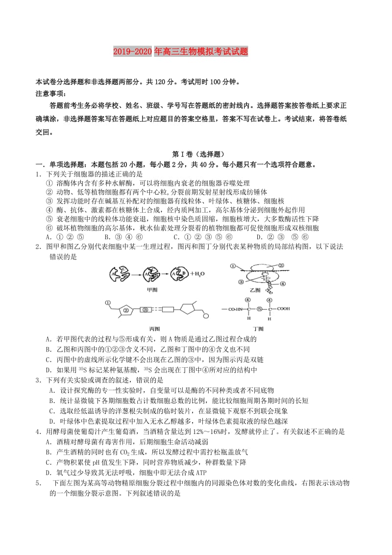 2019-2020年高三生物模拟考试试题.doc_第1页