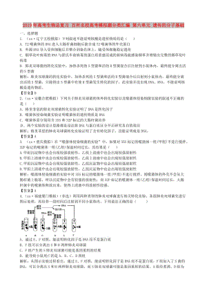 2019年高考生物總復(fù)習(xí) 百所名校高考模擬題分類匯編 第六單元 遺傳的分子基礎(chǔ).doc