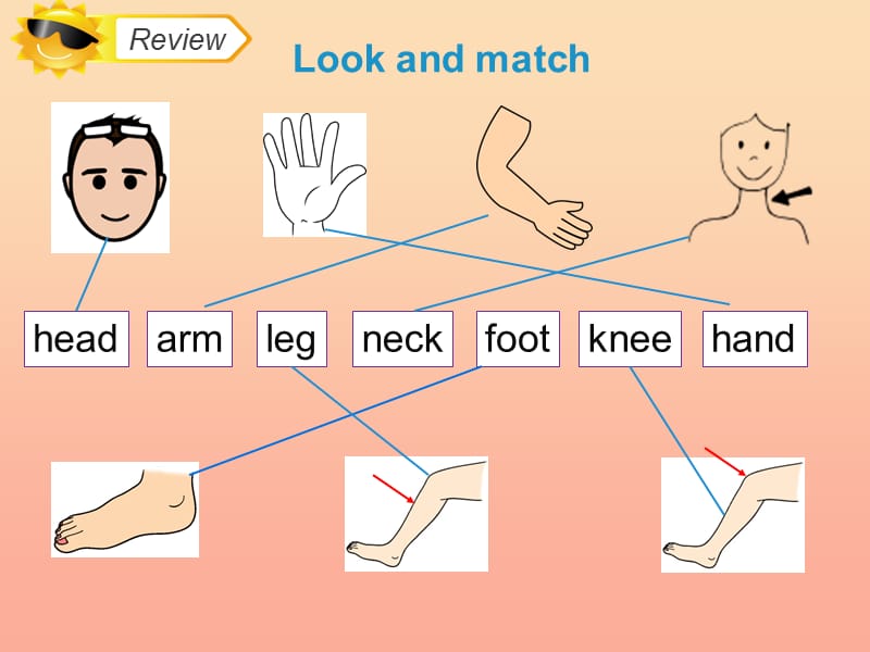 2019三年级英语上册 Unit 3 Look at my nose（Lesson 18）教学课件 人教精通版.ppt_第3页