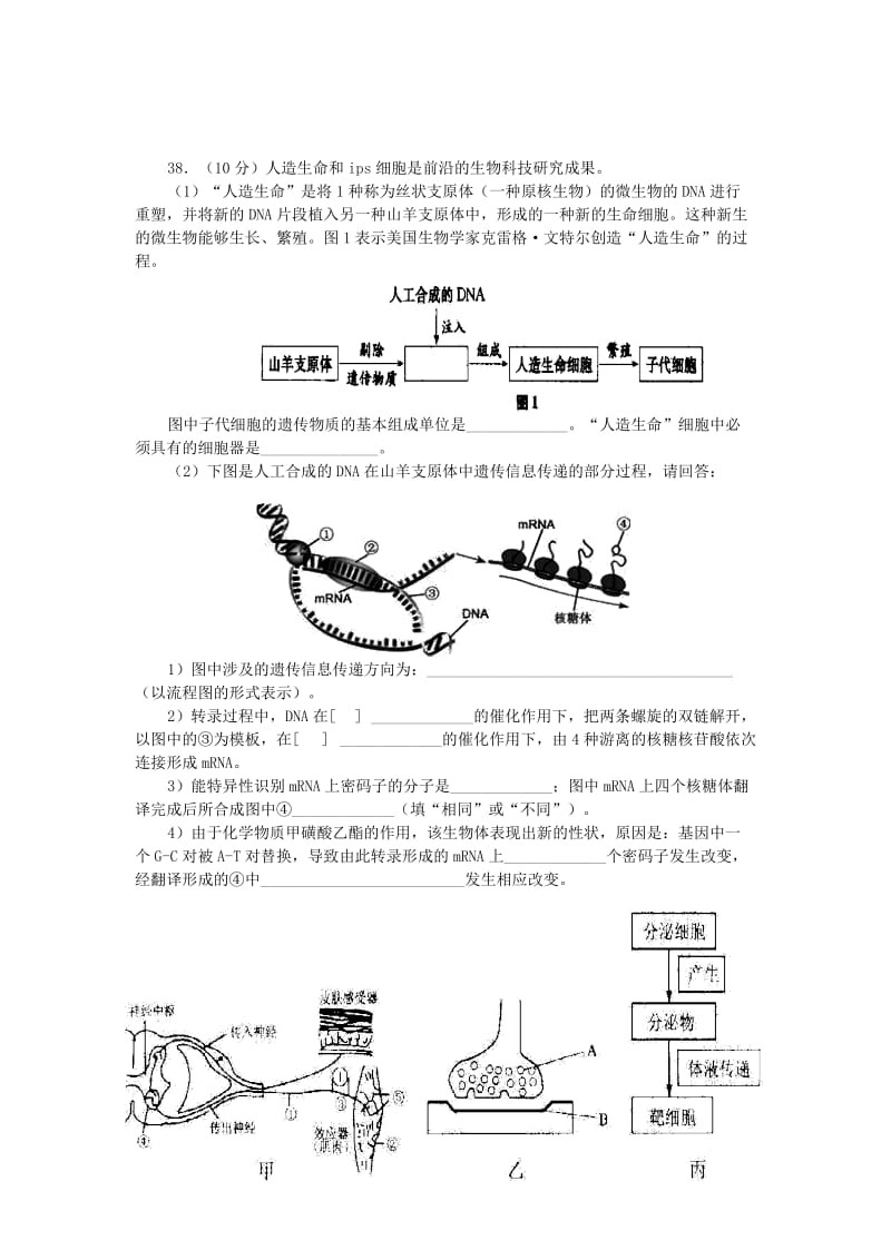 2019-2020年高中生物 生物限时训练20 新人教版.doc_第3页