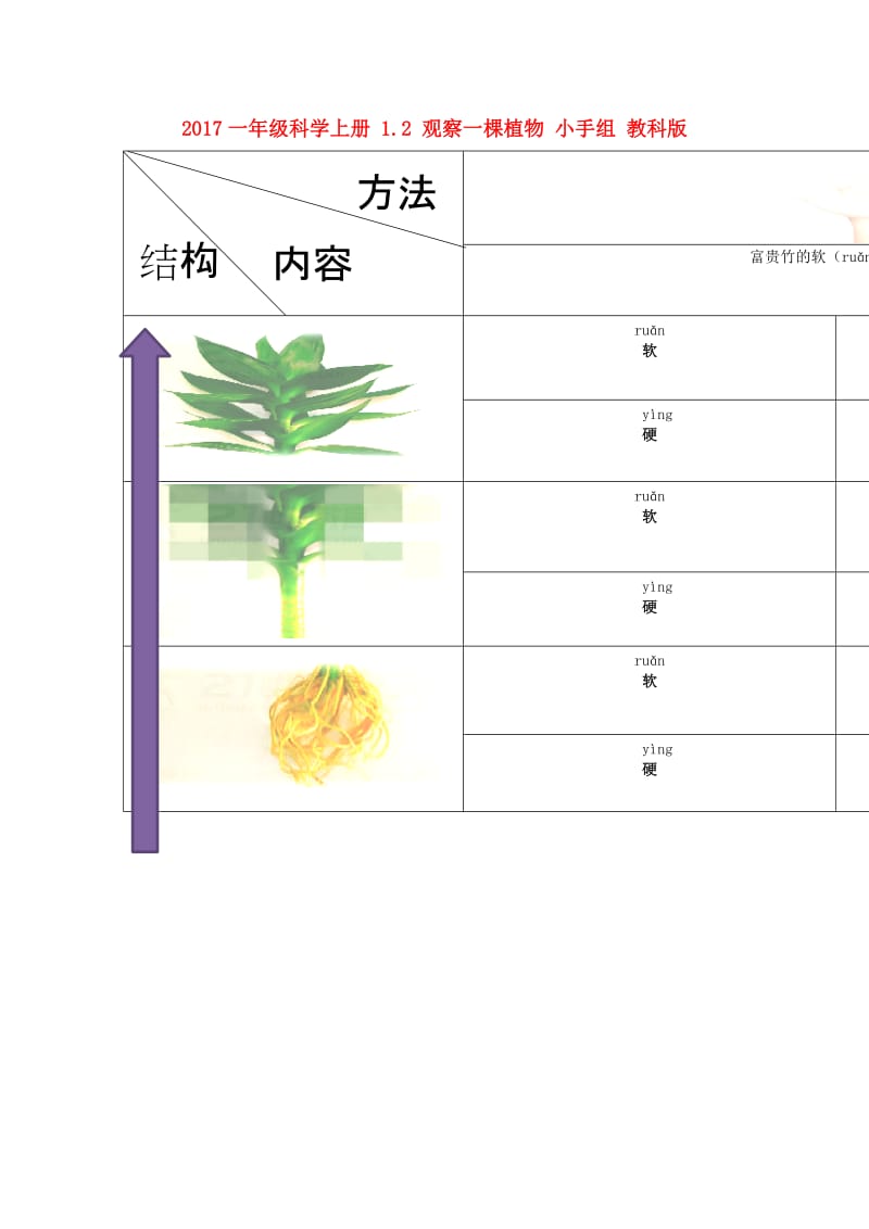 2019一年级科学上册1.2观察一棵植物小手组素材教科版.doc_第1页