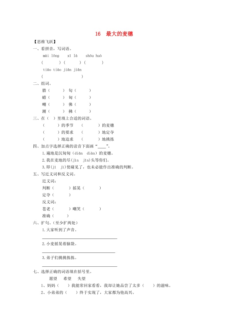 六年级语文下册《16 最大的麦穗》同步精练 苏教版.doc_第1页