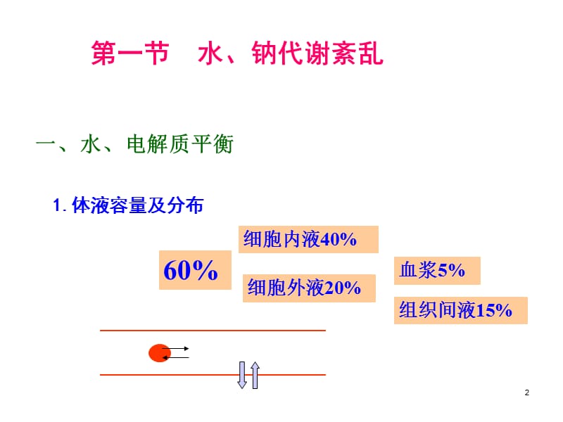 生理水电解质代谢紊乱ppt课件_第2页