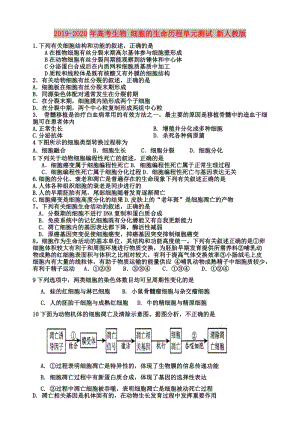 2019-2020年高考生物 細(xì)胞的生命歷程單元測試 新人教版.doc