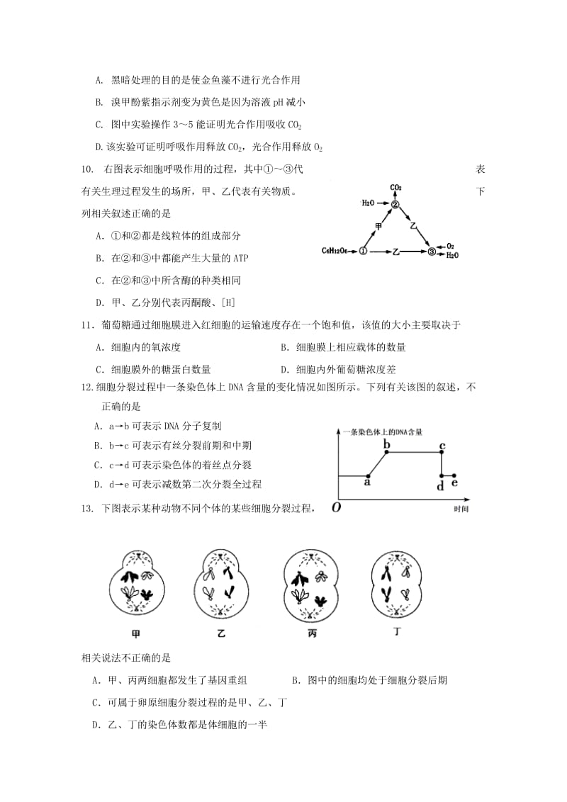 2019-2020年高三生物期中试题（19）.doc_第3页