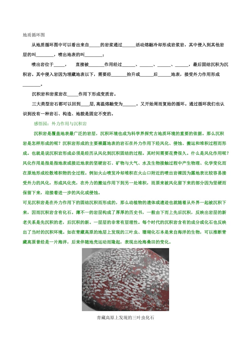 2019-2020年高考地理冲刺之考点感悟与命题预测 专题5.1 岩石圈的物质循环（含解析）.doc_第3页