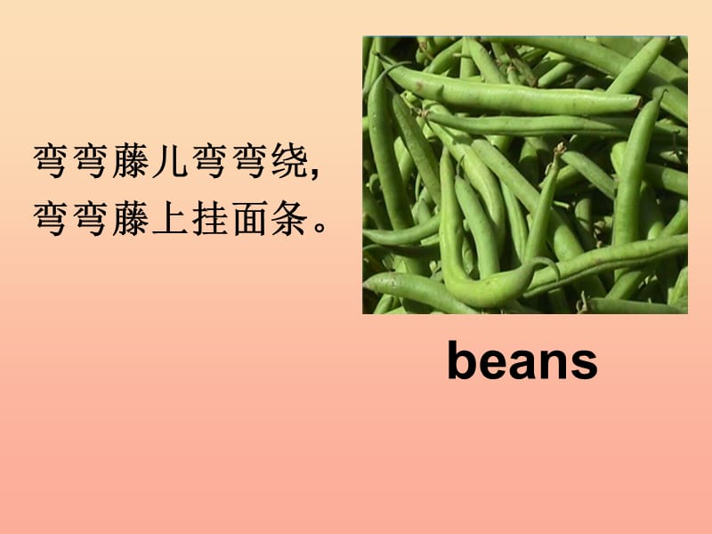 2019春三年级英语下册 Unit 8《Vegetables》（Lesson 1）课件1 北师大版.ppt_第3页